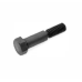 Special bolt